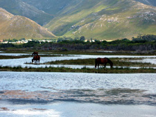 South Africa-The Cape-The Grand Western Cape Ride